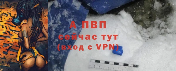 дмт Инсар