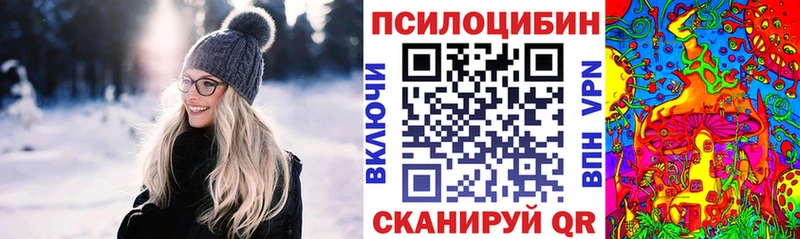 Галлюциногенные грибы Psilocybe  Катайск 